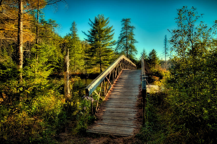 Mountain Photograph - The Footbridge at Nicks Lake by David Patterson