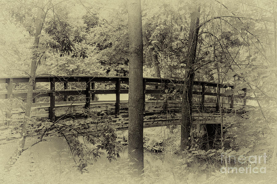 The Footbridge Photograph by William Norton