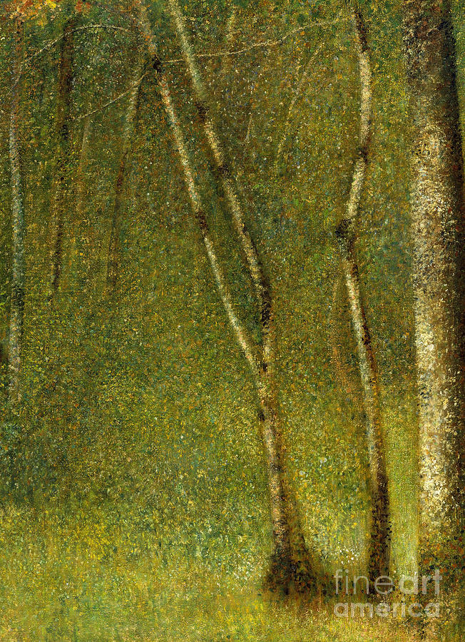 The Forest at Pontaubert, 1881 Painting by Georges Pierre Seurat