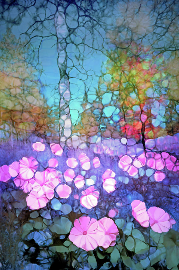 Light Digital Art - The Forest Floor In Bloom by Tara Turner Light Digital Art - The Forest Floor In Bloom by Tara Turner