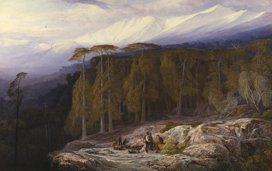 Edward Lear Painting - The Forest of Valdoniello, Corsica by Edward Lear