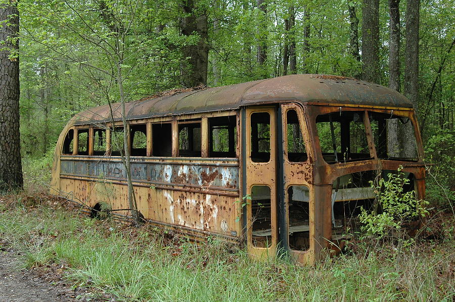 The forgotten Bus Photograph by Marshall Henderson - Fine Art America