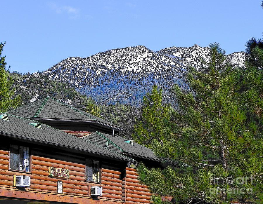 The Fort at Idyllwild Photograph by Lisa Dunn