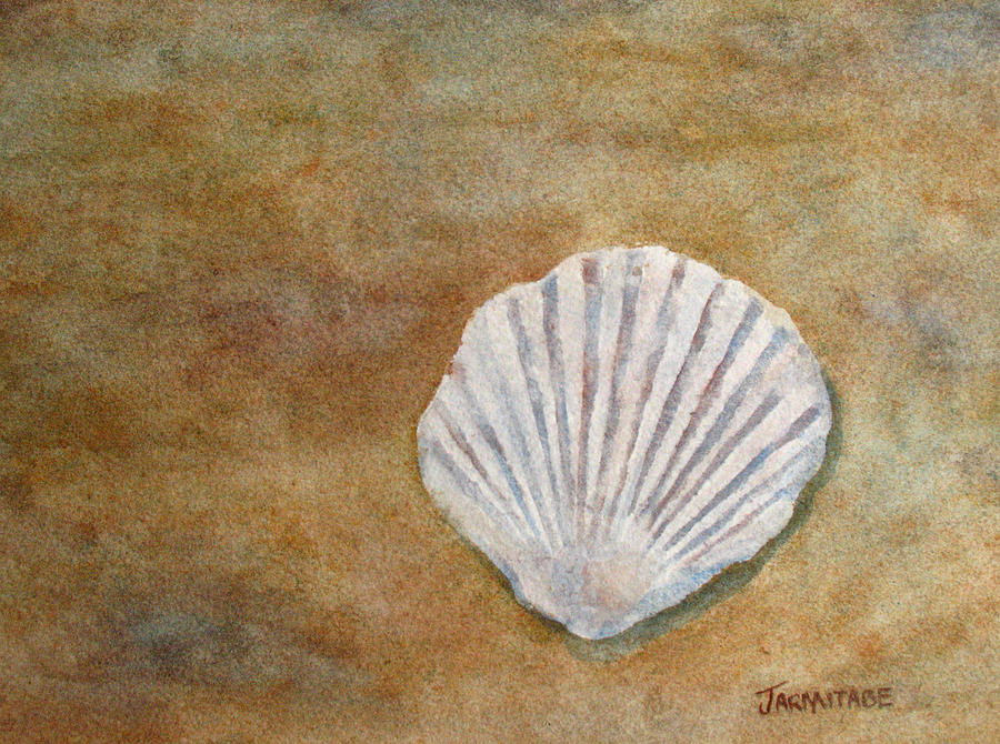 The Fossil Shell Painting by Jenny Armitage