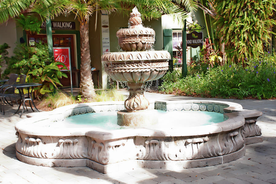 The Fountain Photograph