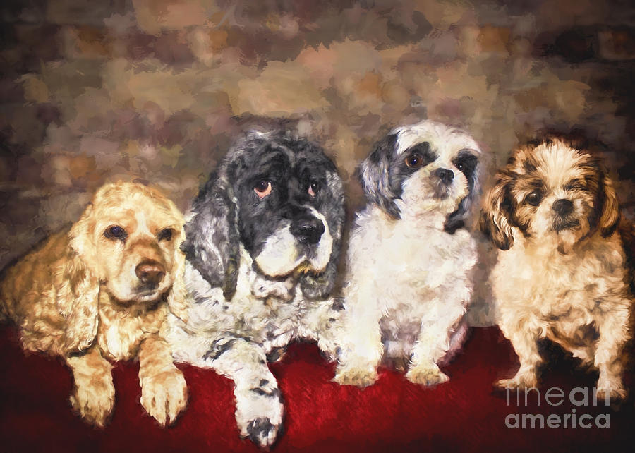 Animal Painting - The Four Amigos by Janice Pariza