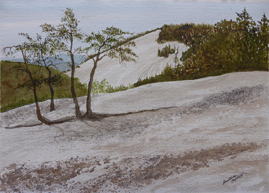 Stone Mountain Painting - The Four Sisters at Stone Mountain by Joel Deutsch