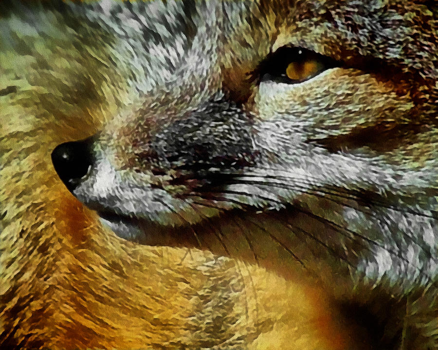 The Fox 9 Digital Art by Ernest Echols