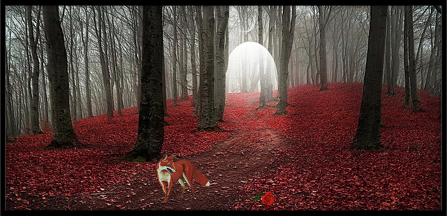 The fox and the rose Digital Art by Harald Dastis