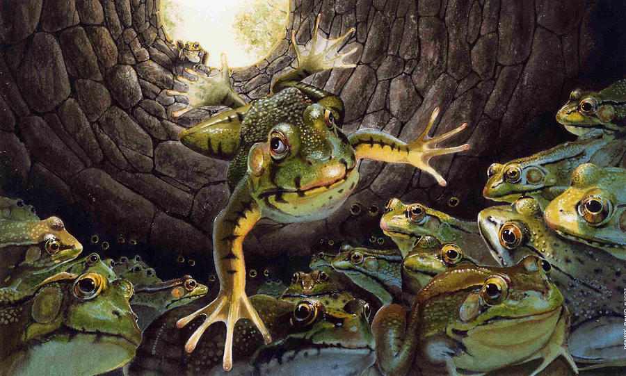 Frogs Painting - The Frog and the Well by Denny Bond