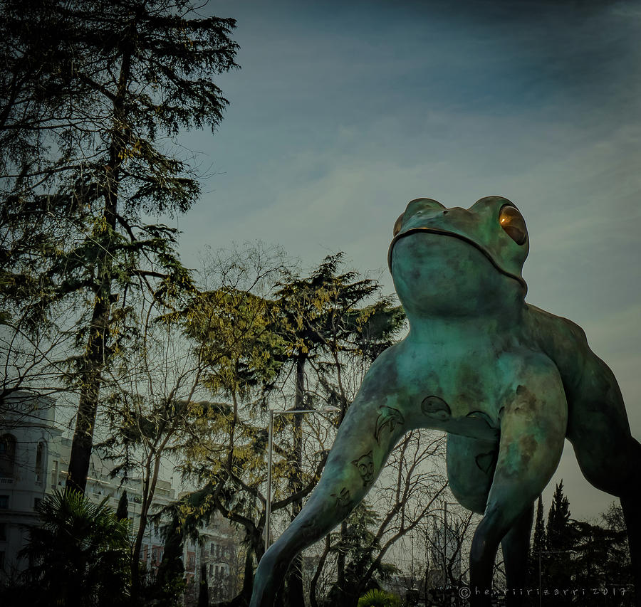 The Frog of Fortune Sculpture Photograph by Henri Irizarri