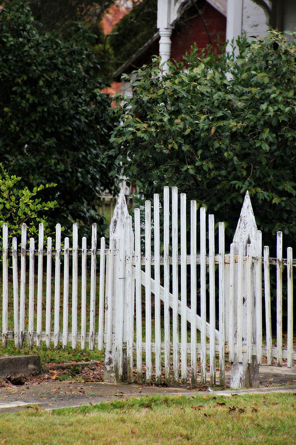 The Front Gate Photograph by Lynn Jordan