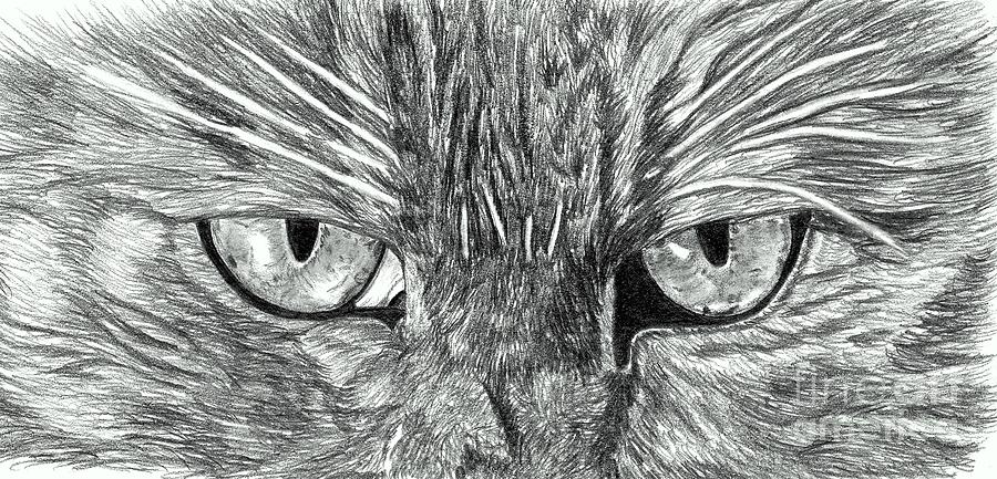 The Frown by Becky Eileen Eller The Frown by Becky Eileen Eller