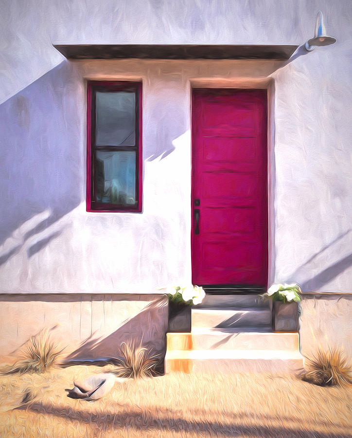 The Fuchsia Door Photograph by Susan Rissi Tregoning
