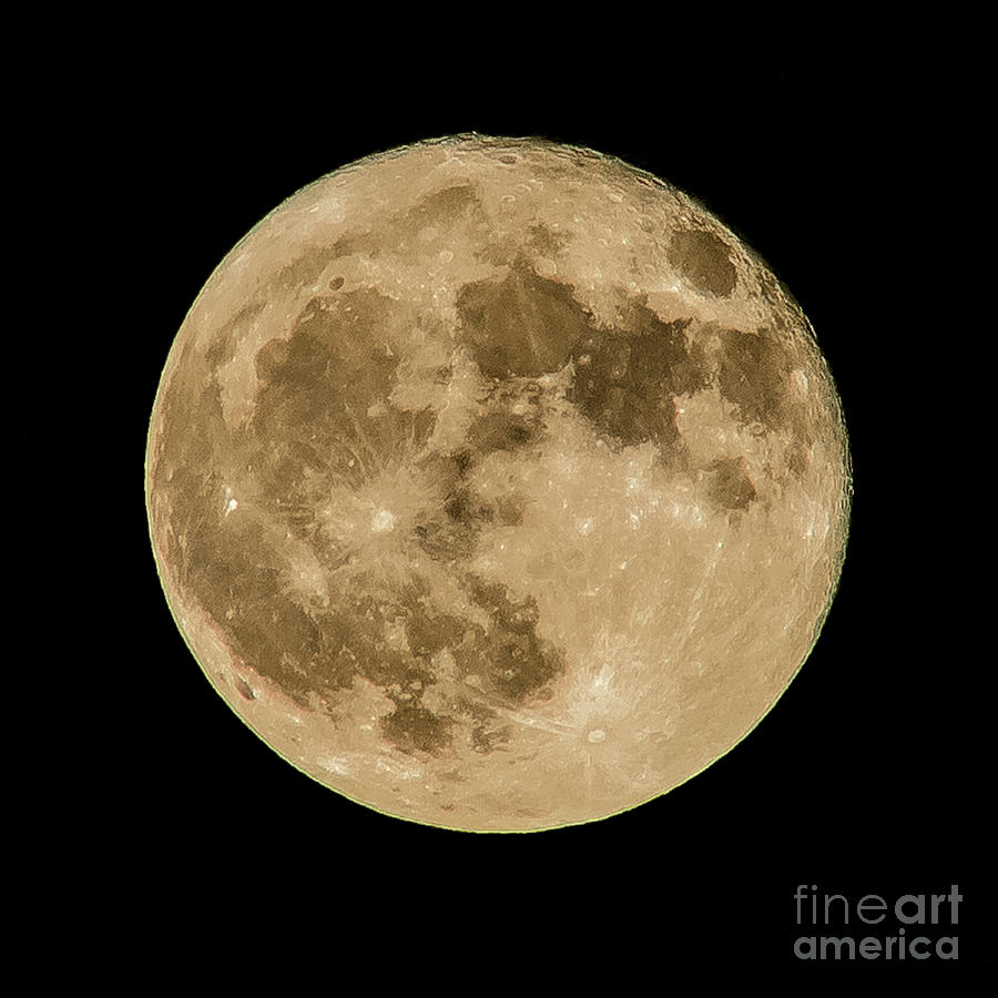 The Full Hunters Moon Photograph by Nick Zelinsky Jr