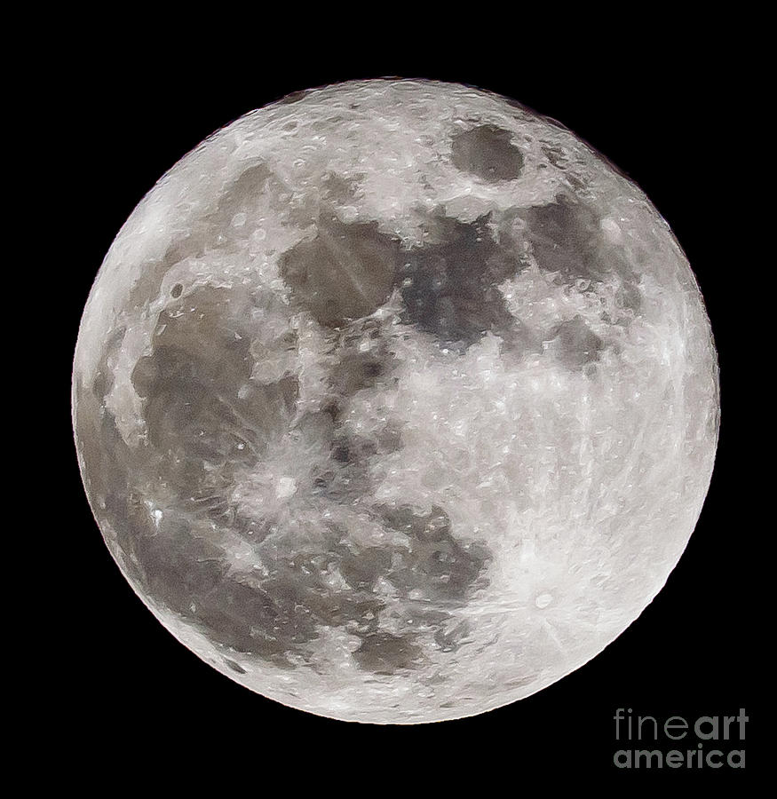 The full moon Photograph by Colin Rayner