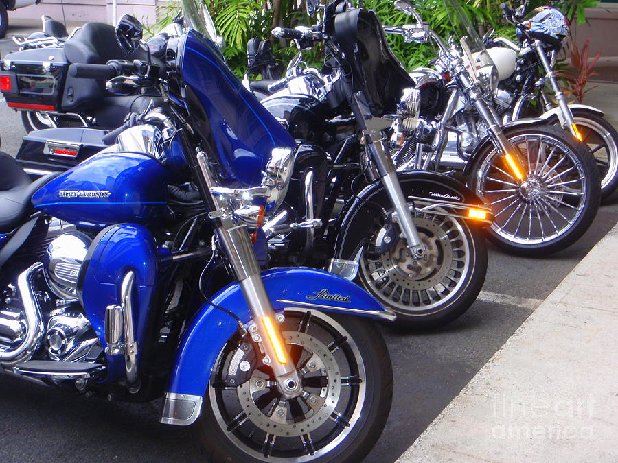 Motorcycle Photograph - The Gangs All Here by Mary Deal