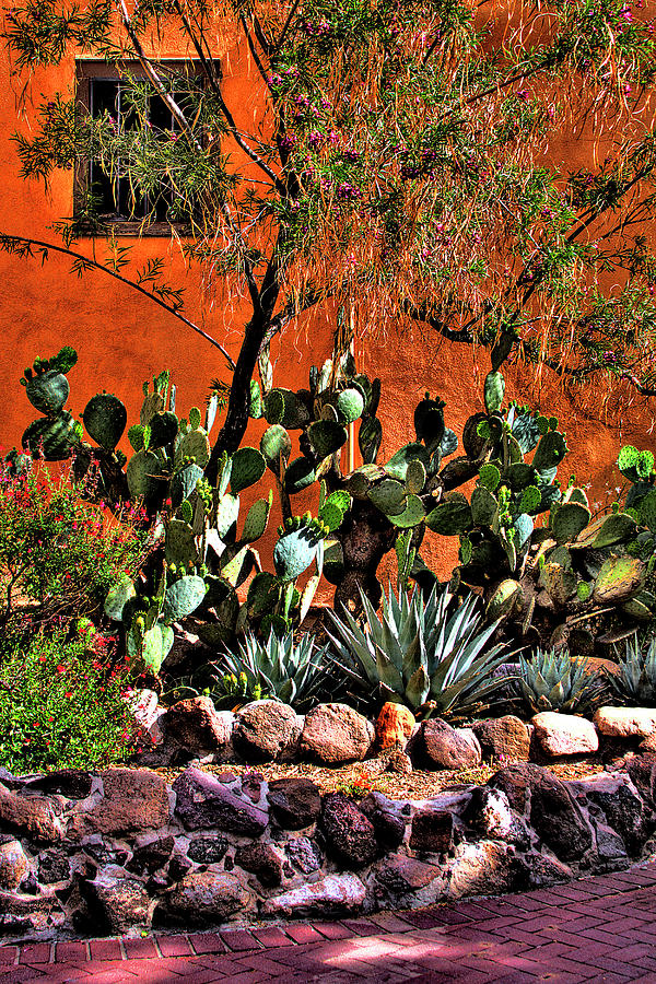 The Garden at San Felipe de Neri Church Photograph by David Patterson