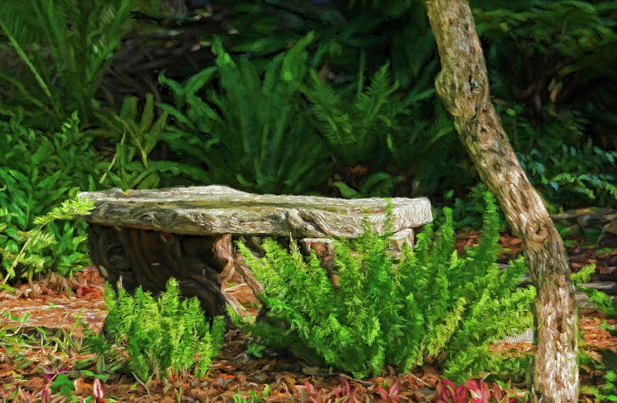The Garden Bench Photograph by HH Photography of Florida