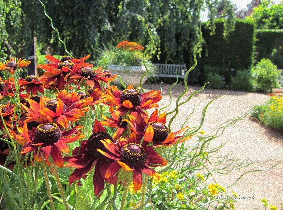 The Garden in August Photograph by Kathie Chicoine
