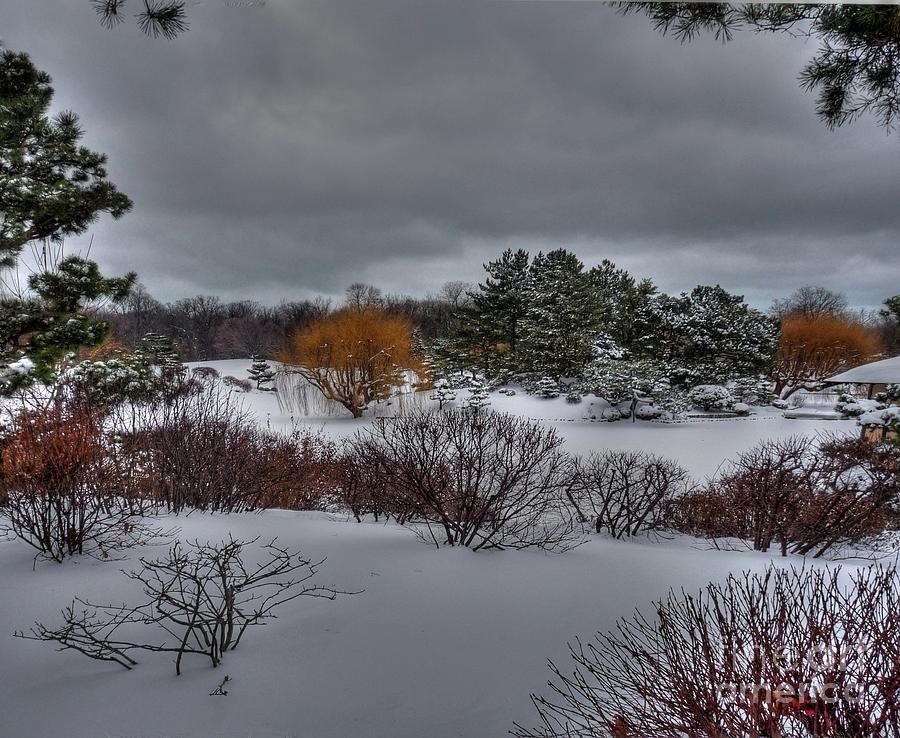 The Garden in Winter Photograph by David Bearden