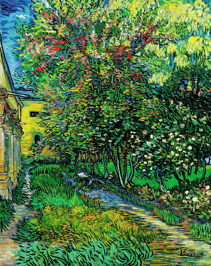 The Garden Of The Asylum At Saint Remy Painting By Vincent Van Gogh Pixels