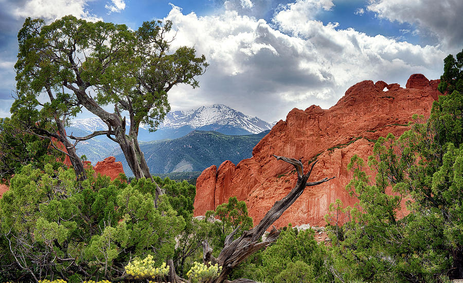 The Garden of the Gods Photograph by David Soldano