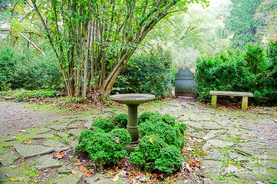 The Garden The Gate and The Bird Bath Photograph by David Arment