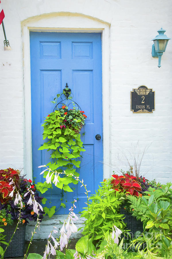 The Gardened Door Photograph by Marilyn Cornwell