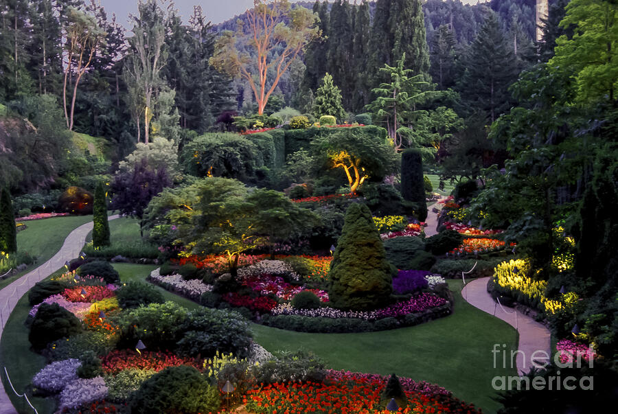 The Gardens After Dark Photograph by Bob Phillips