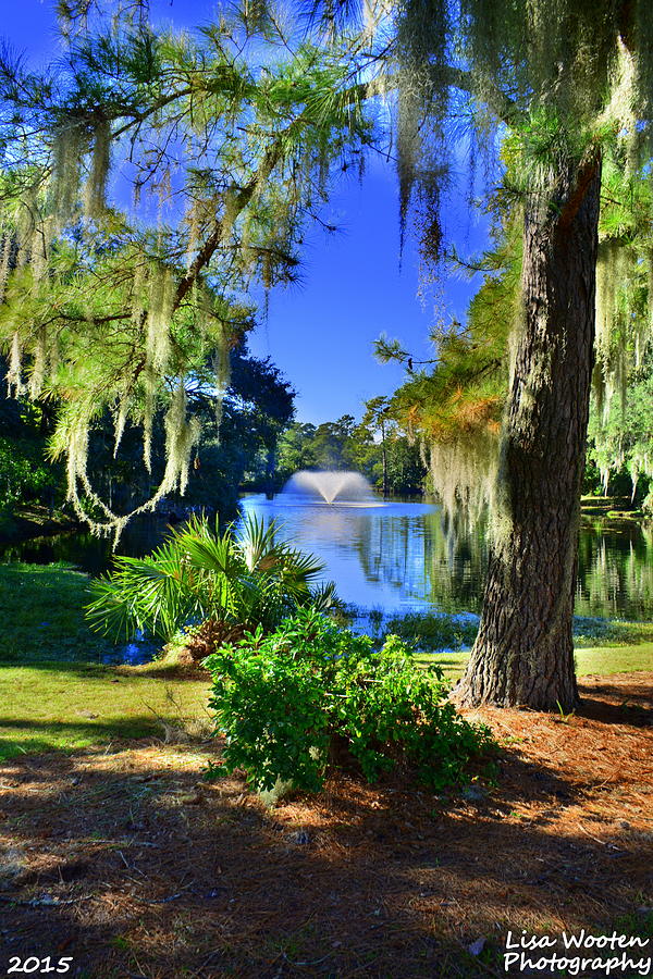 The Gardens At Legare Waring House Charles Towne Landing SC Photograph by Lisa Wooten