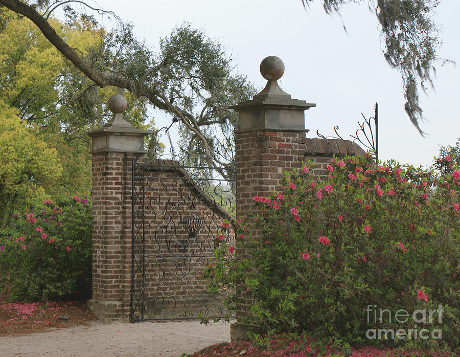 The Gate at Boone Hall Photograph by Roger Potts