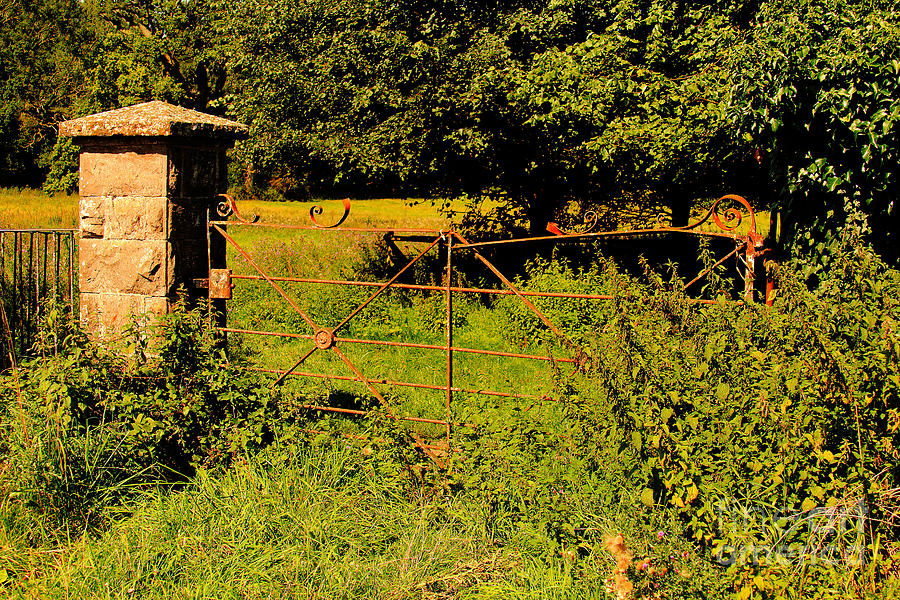 The Gate at Pandy Photograph by Richard Denyer