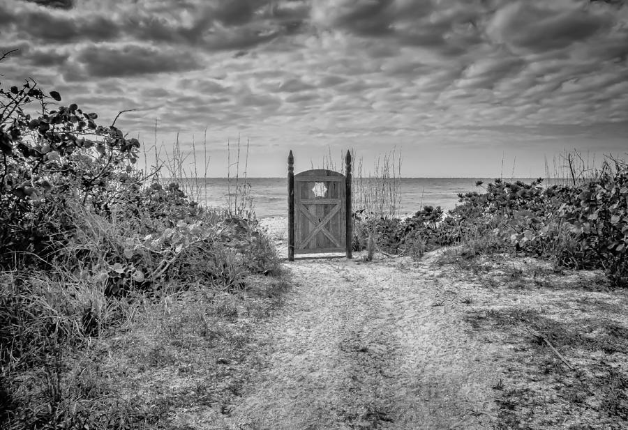 The Gate Photograph by Bill Martin