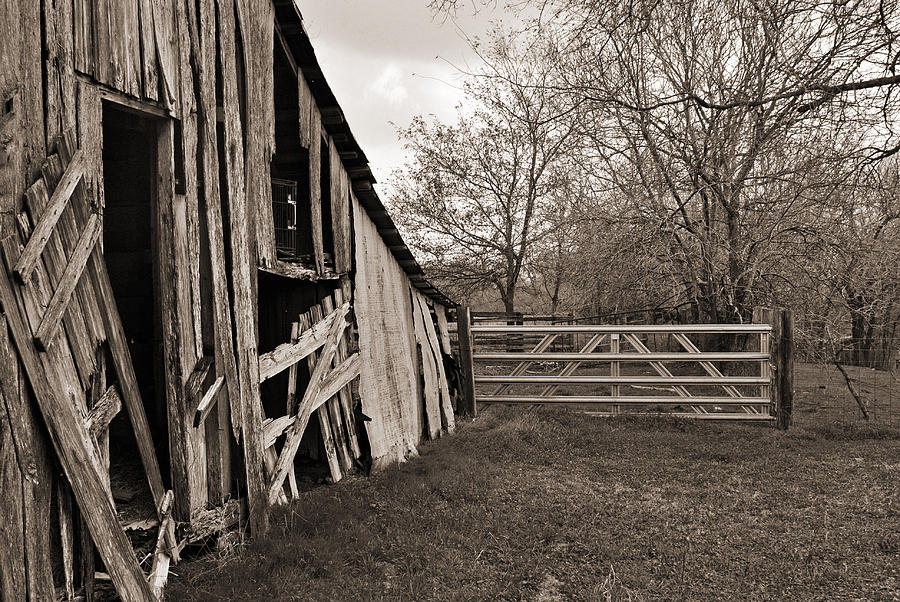 The Gate Photograph by Lisa Moore - Fine Art America