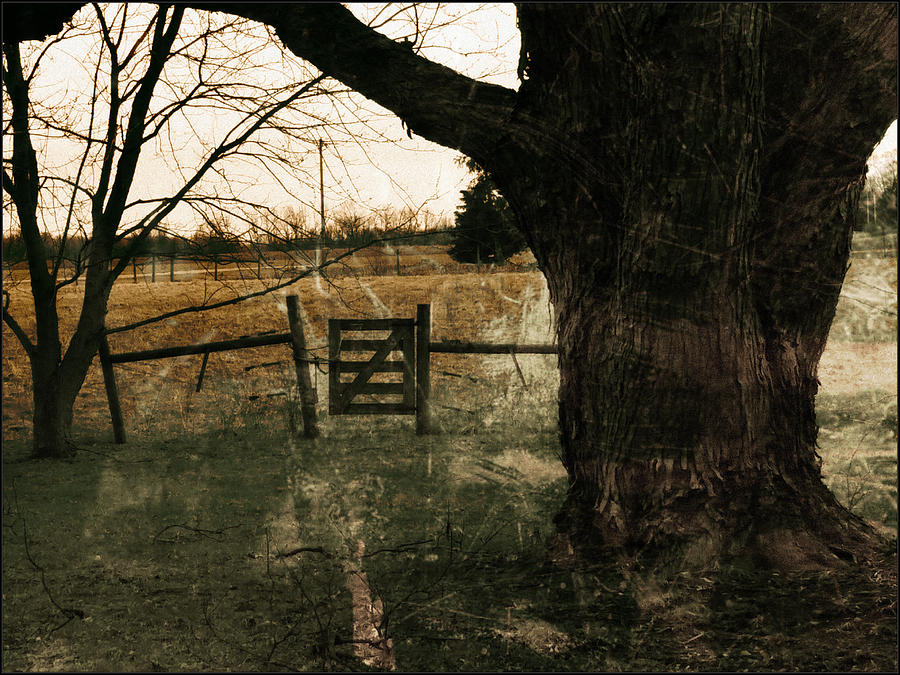 The Gate by Michael L Kimble The Gate by Michael L Kimble