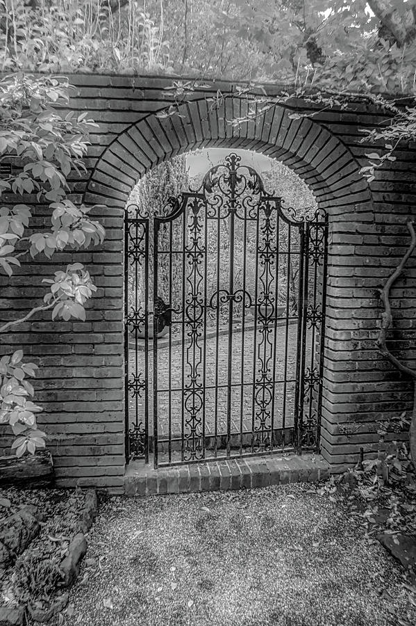 The Gate Photograph