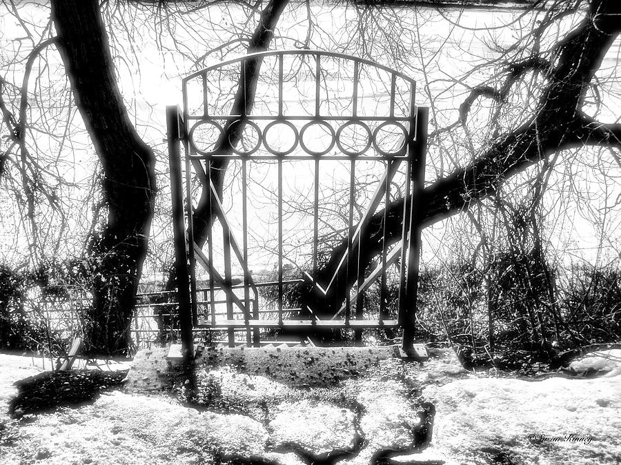 The Gate Photograph by Susan Kinney