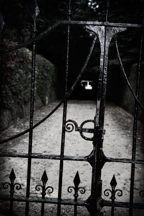 The Gate to Petworth Photograph by Michael Hope