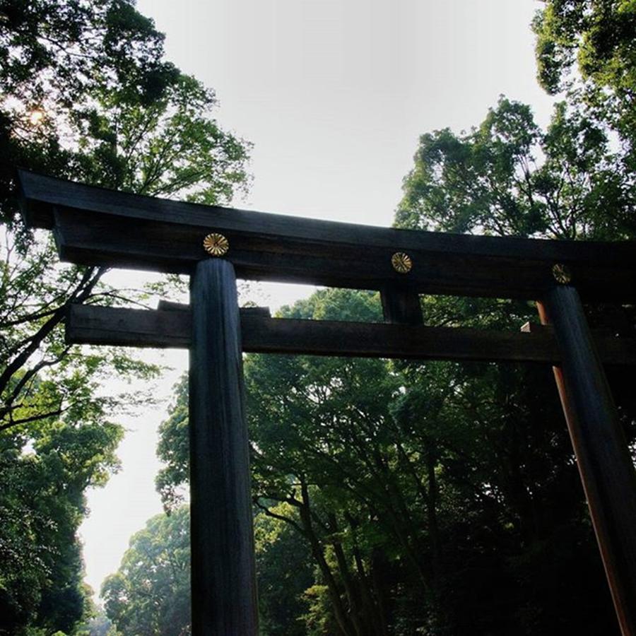 The Gates To Meiji Shrine Photograph by Robert Marsch