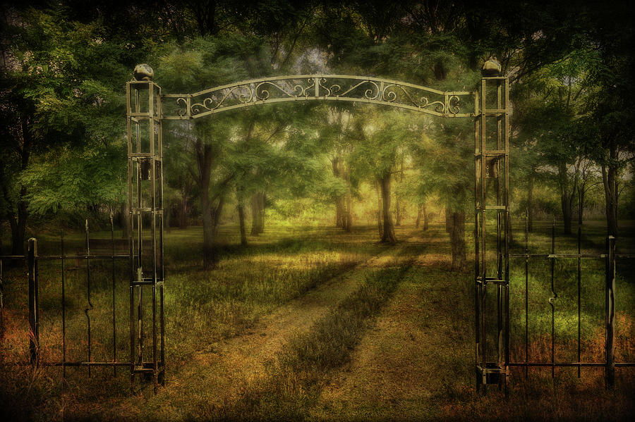 The Gateway Photograph by John Anderson