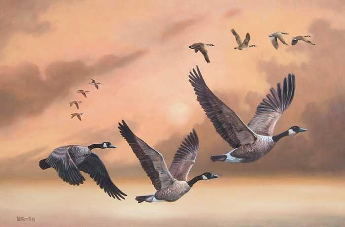 The Gathering Formation Painting by William Hay The Gathering Formation Painting by William Hay