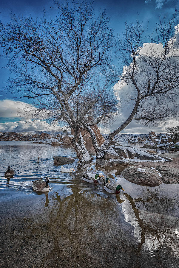 The Gathering Place Photograph by Brian Oakley Photography - Fine Art  America