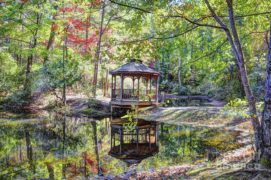 The Gazebo In The Forest  Photograph by Savannah Gibbs