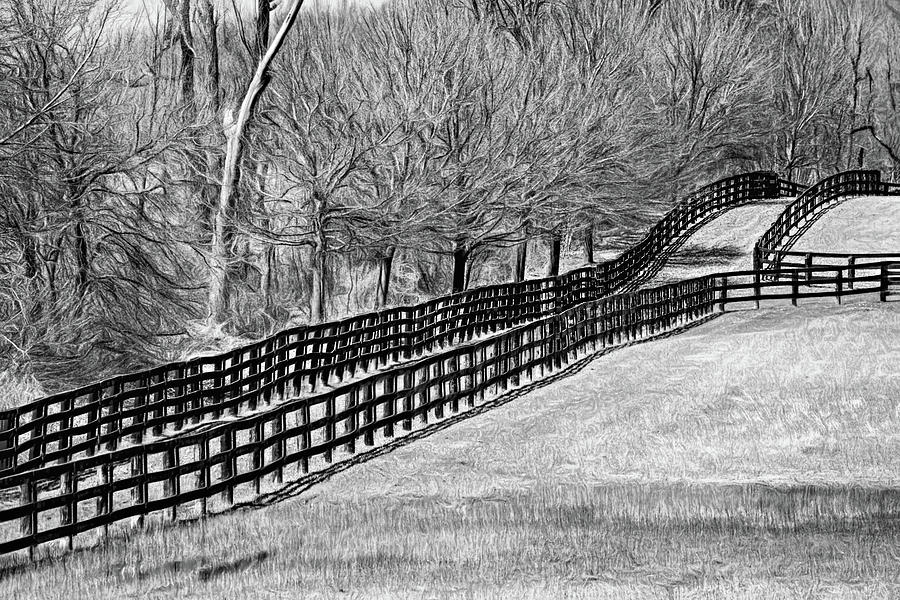 The Geometry Of Spring - Paint Bw Photograph