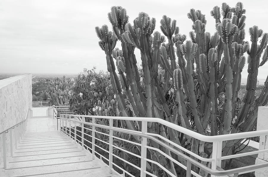 The Getty by Amanda Rimmer The Getty by Amanda Rimmer