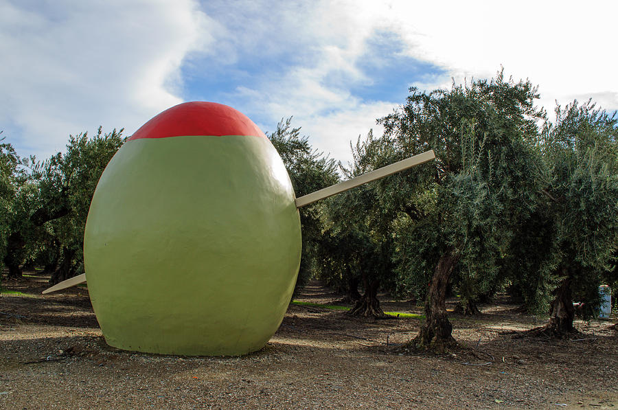 The Giant Olive  Photograph by Tikvahs Hope