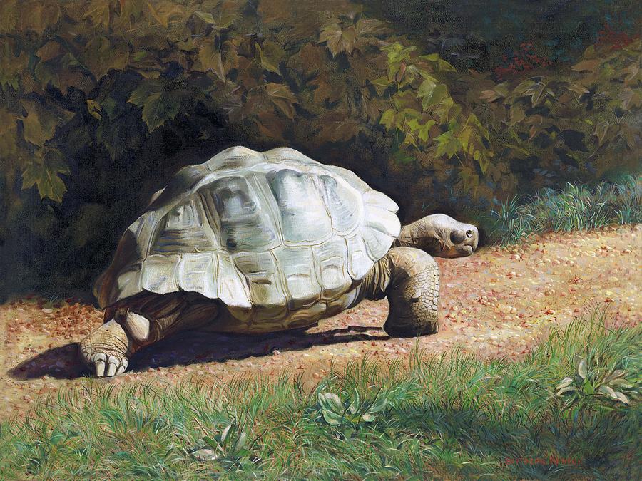 The Giant Tortoise Is Walking Painting by Svitozar Nenyuk