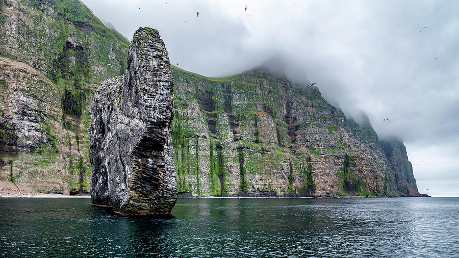 iceland giant teddy