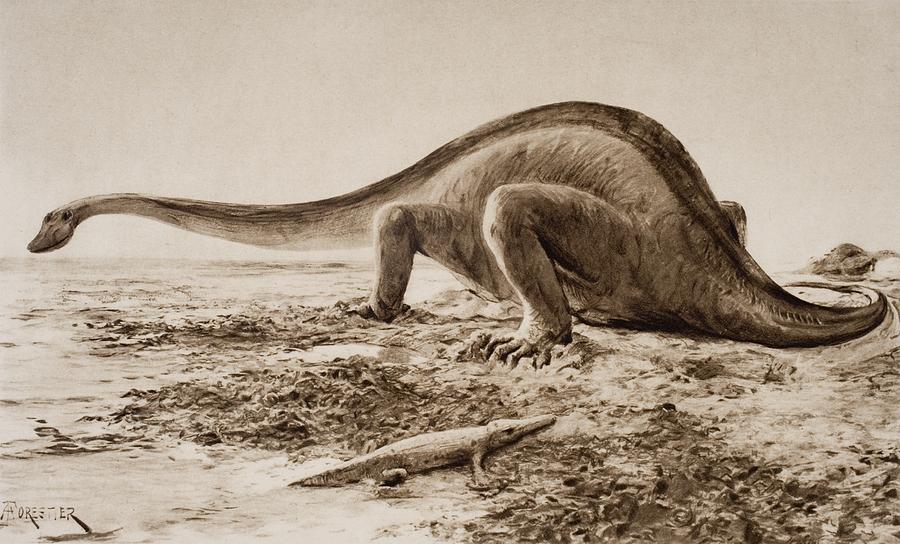 Prehistoric Drawing - The Giganotosaurus, Disinterred From by Vintage Design Pics